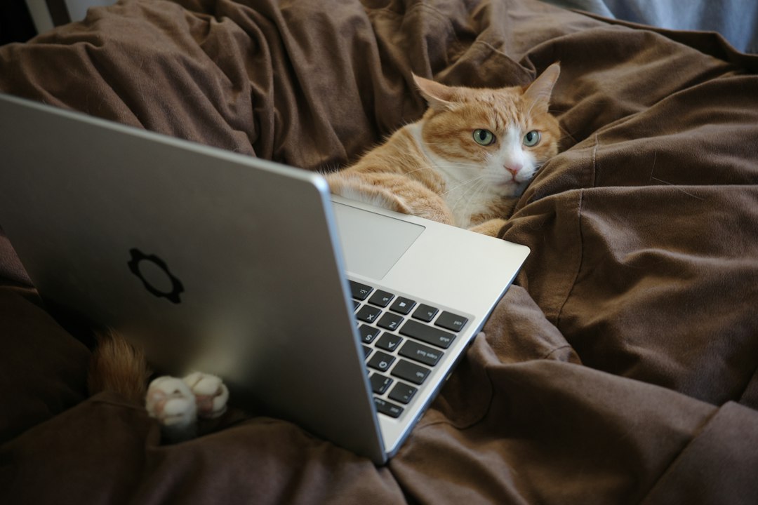 An orange and white cat resting next to the back of a laptop, the subject of the fun presentation topic on why cats ignore commands